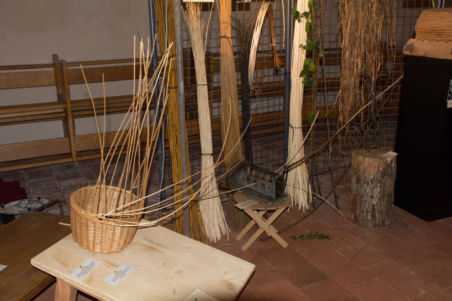 Dsc 4843 900