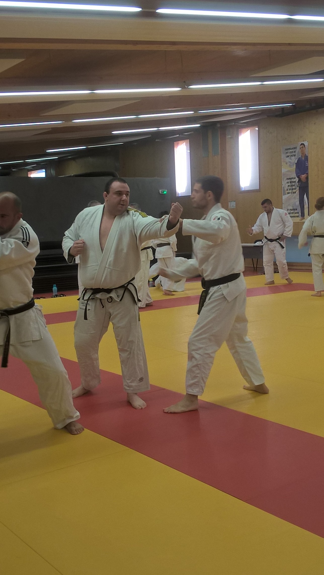 Stage kata 061116 42 