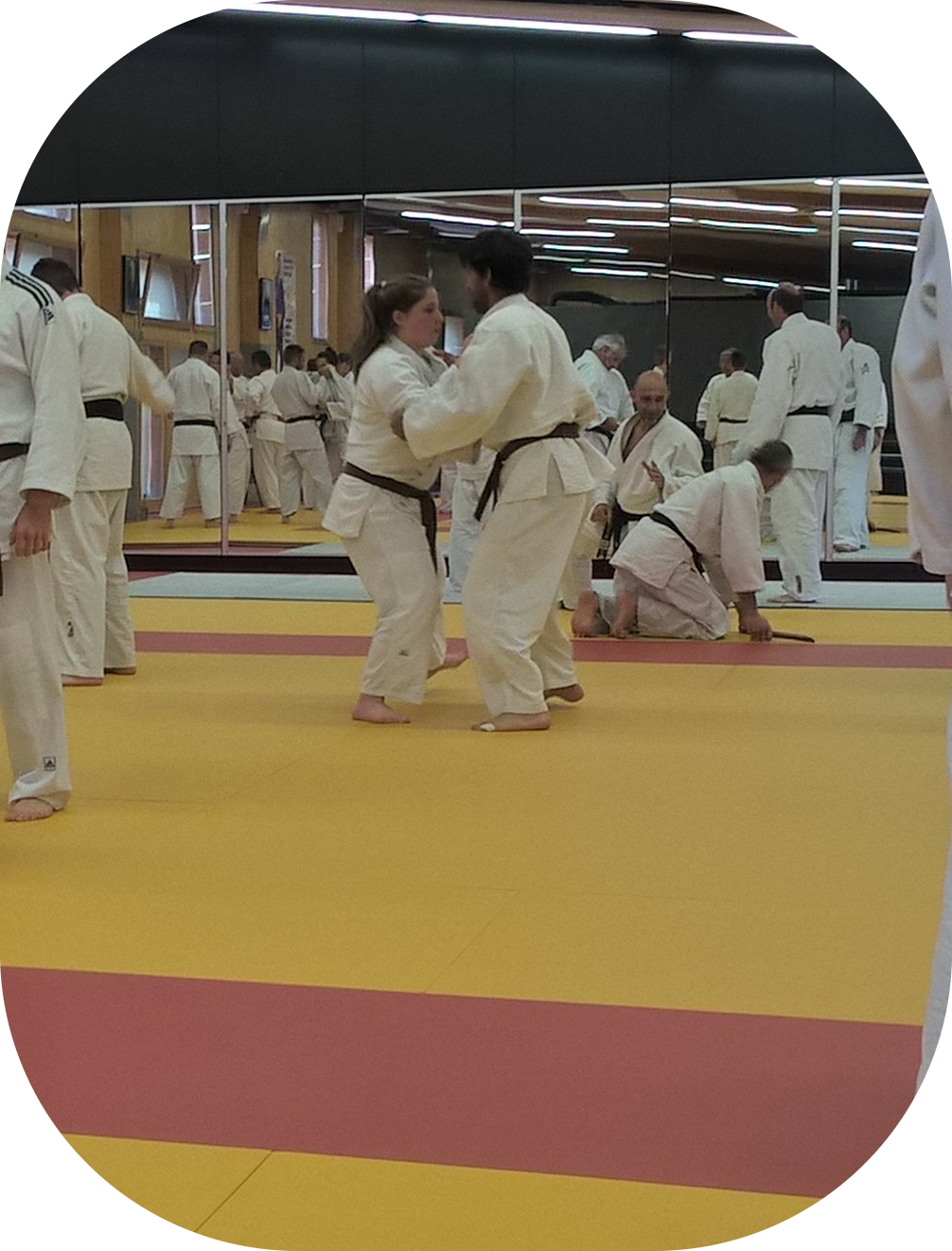 Kata