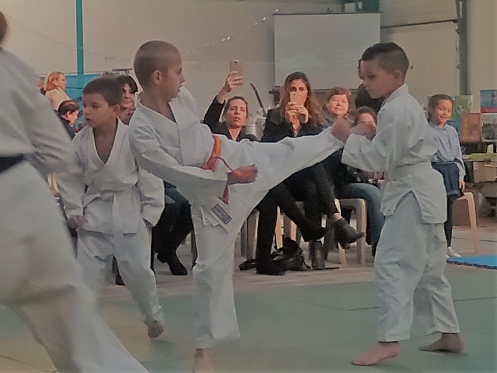 17 karate telethon 82 modifie