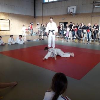Ecole arb anim mini pous pous 25 11 17 52 