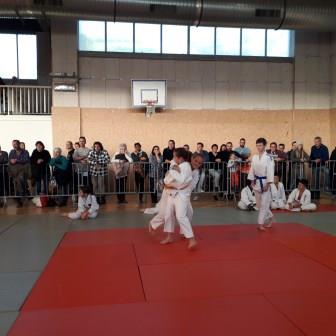 Ecole arb anim mini pous pous 25 11 17 79 