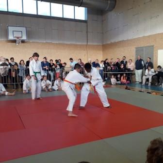 Ecole arb anim mini pous pous 25 11 17 80 