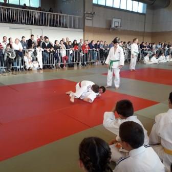 Ecole arb anim mini pous pous 25 11 17 81 