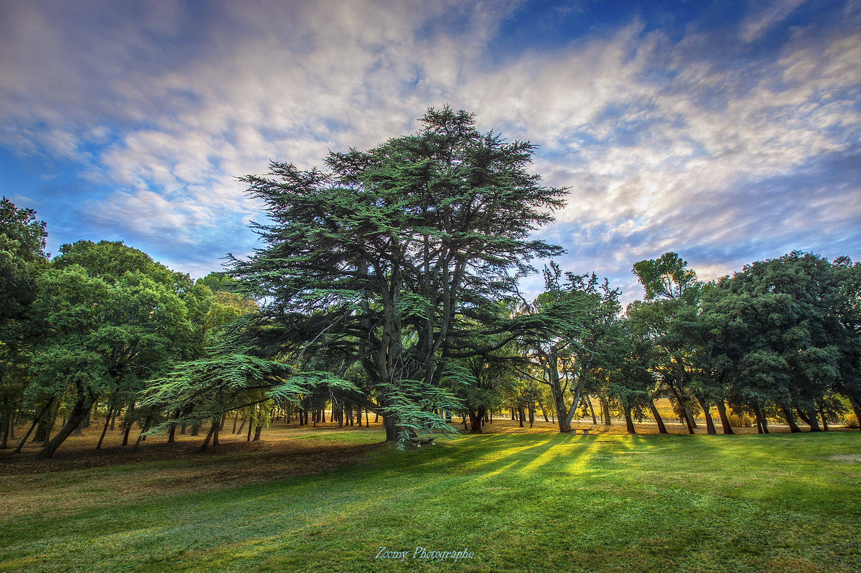 Chateau de vaudieu zoomy photographe