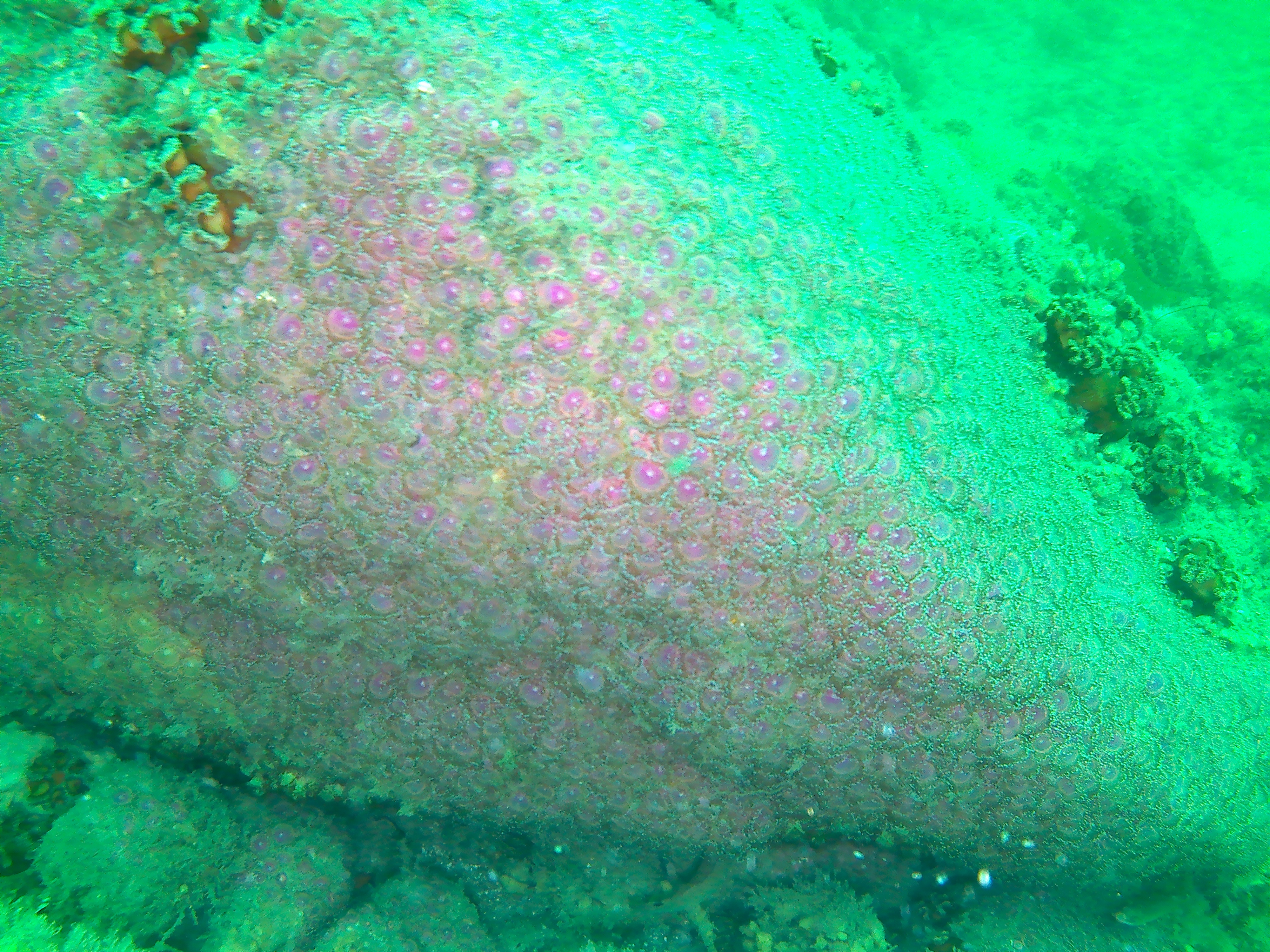 20180707 131645a