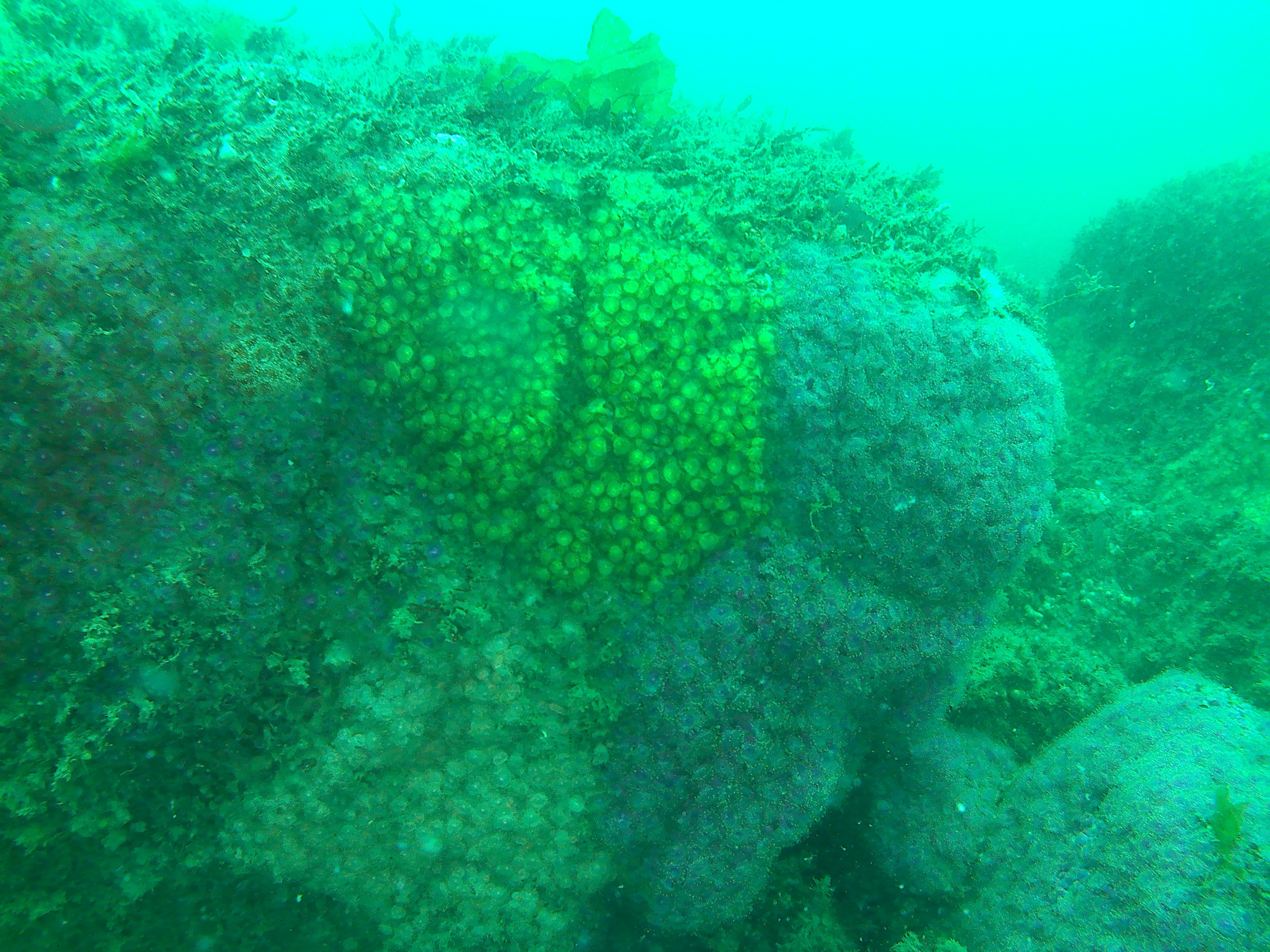 20180707 134955a