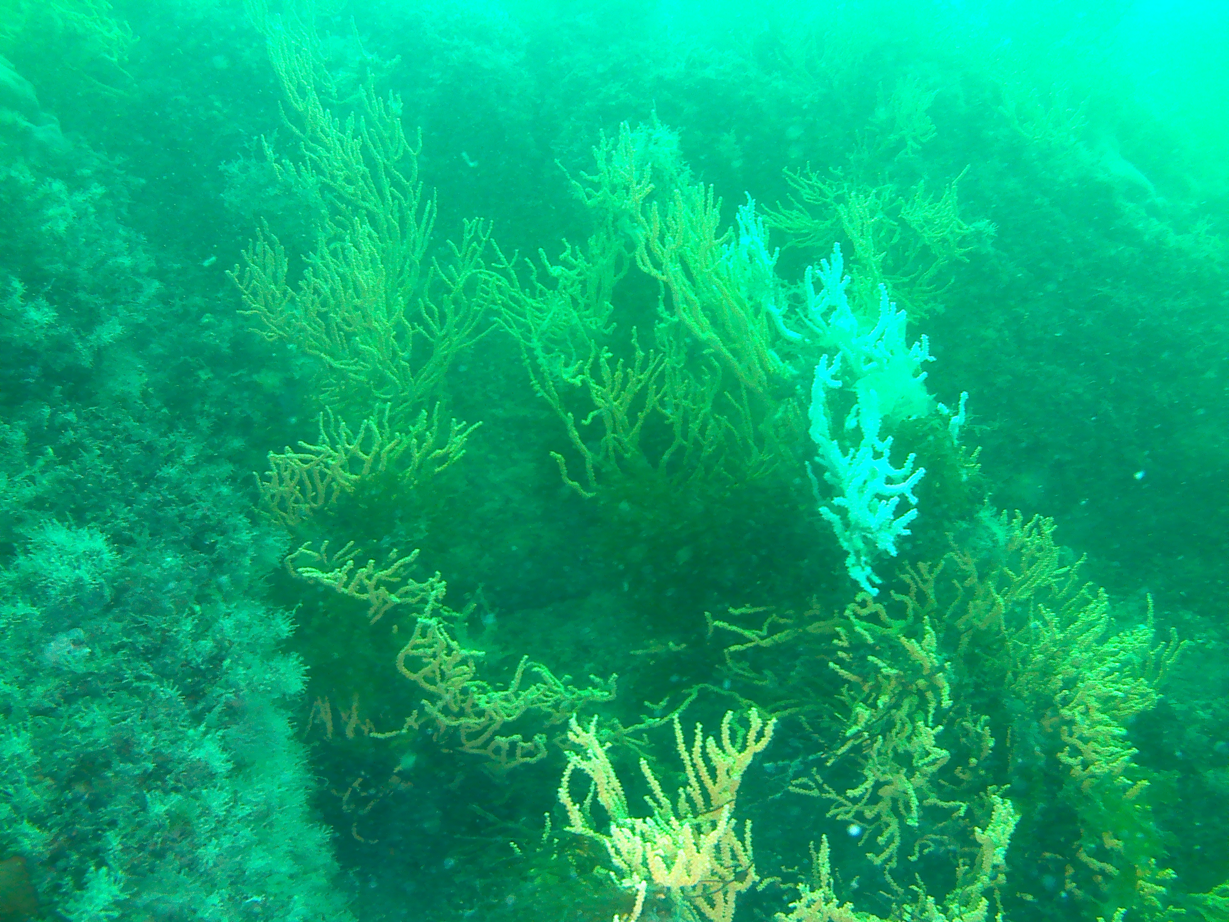 20180802 134352a