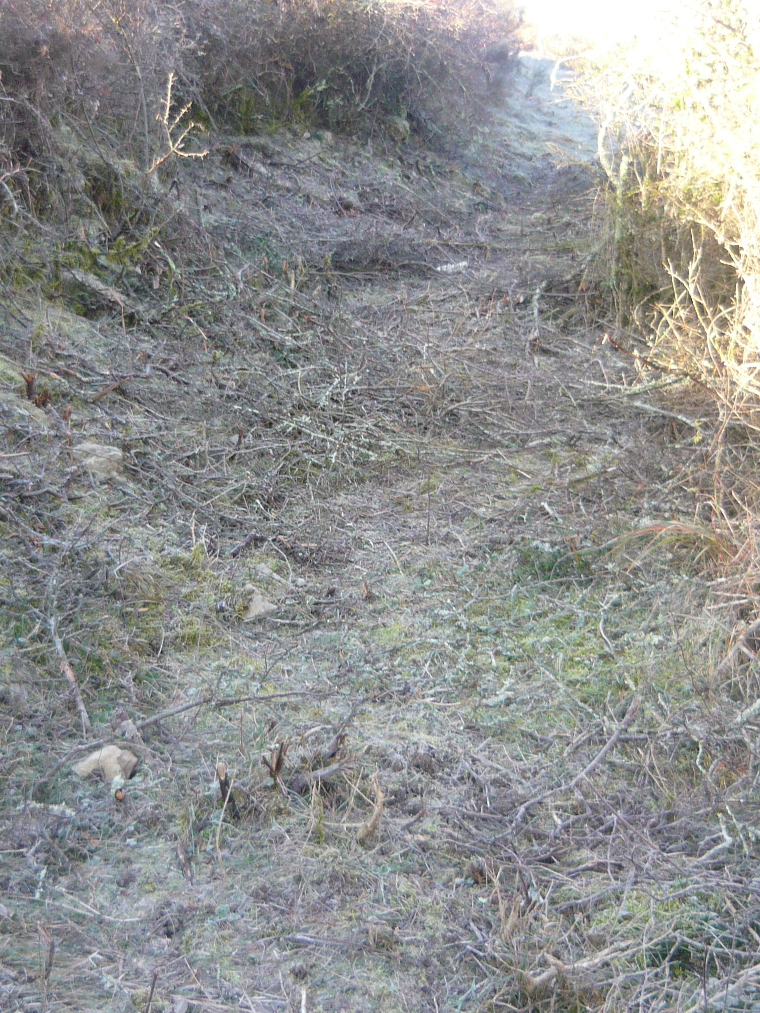 Grand vallat 9 