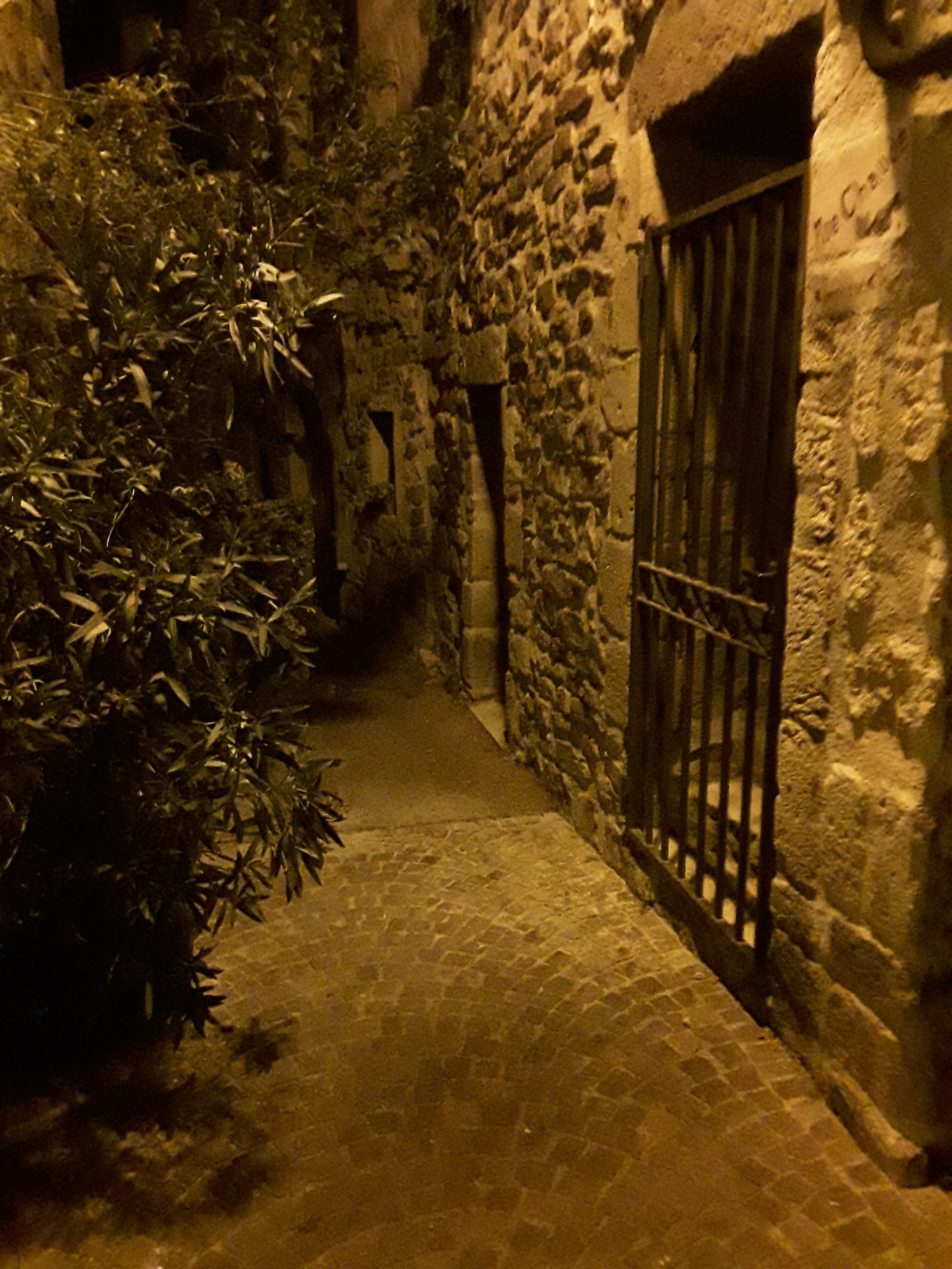 Dsc 0579