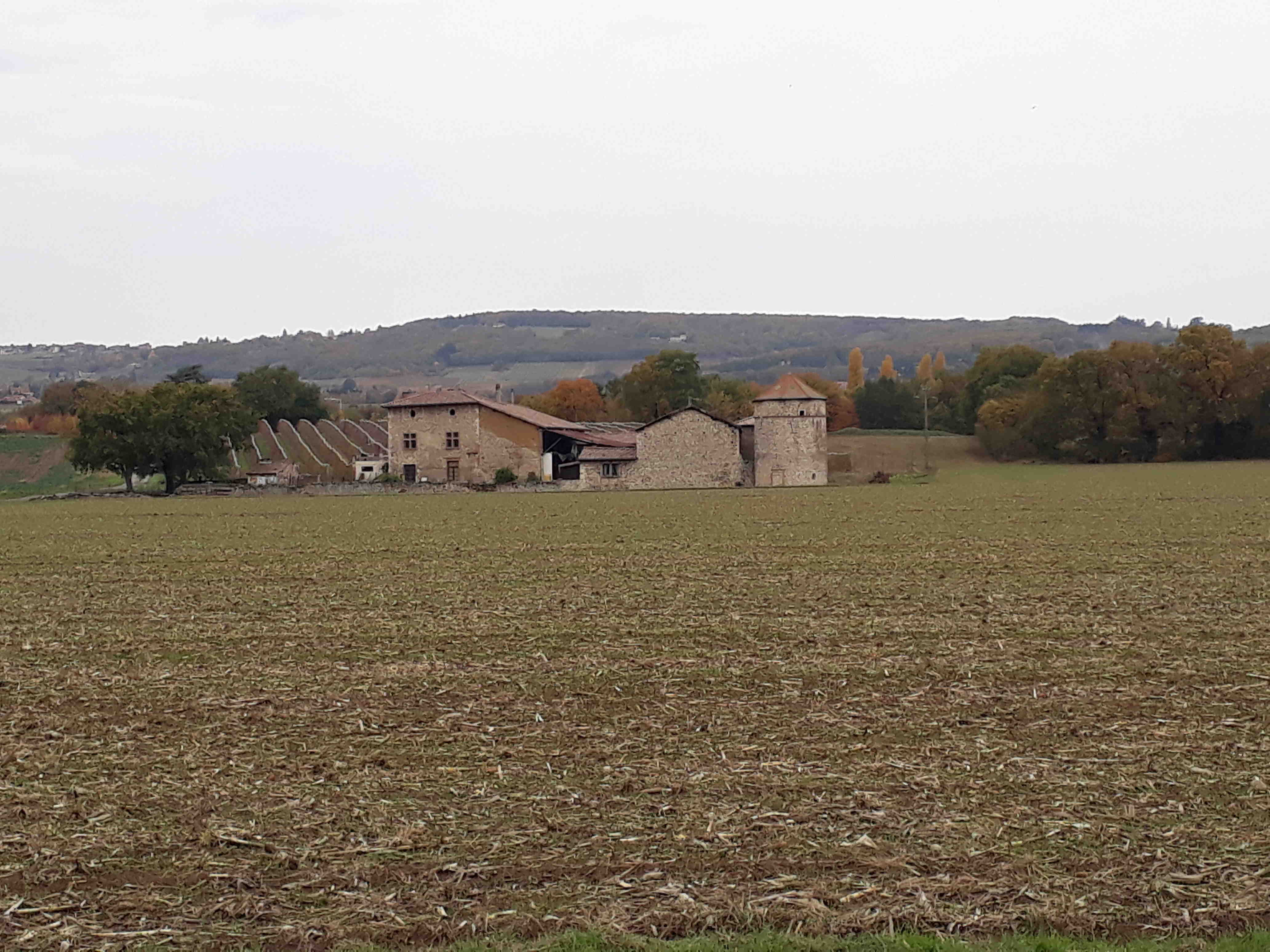 P20182305