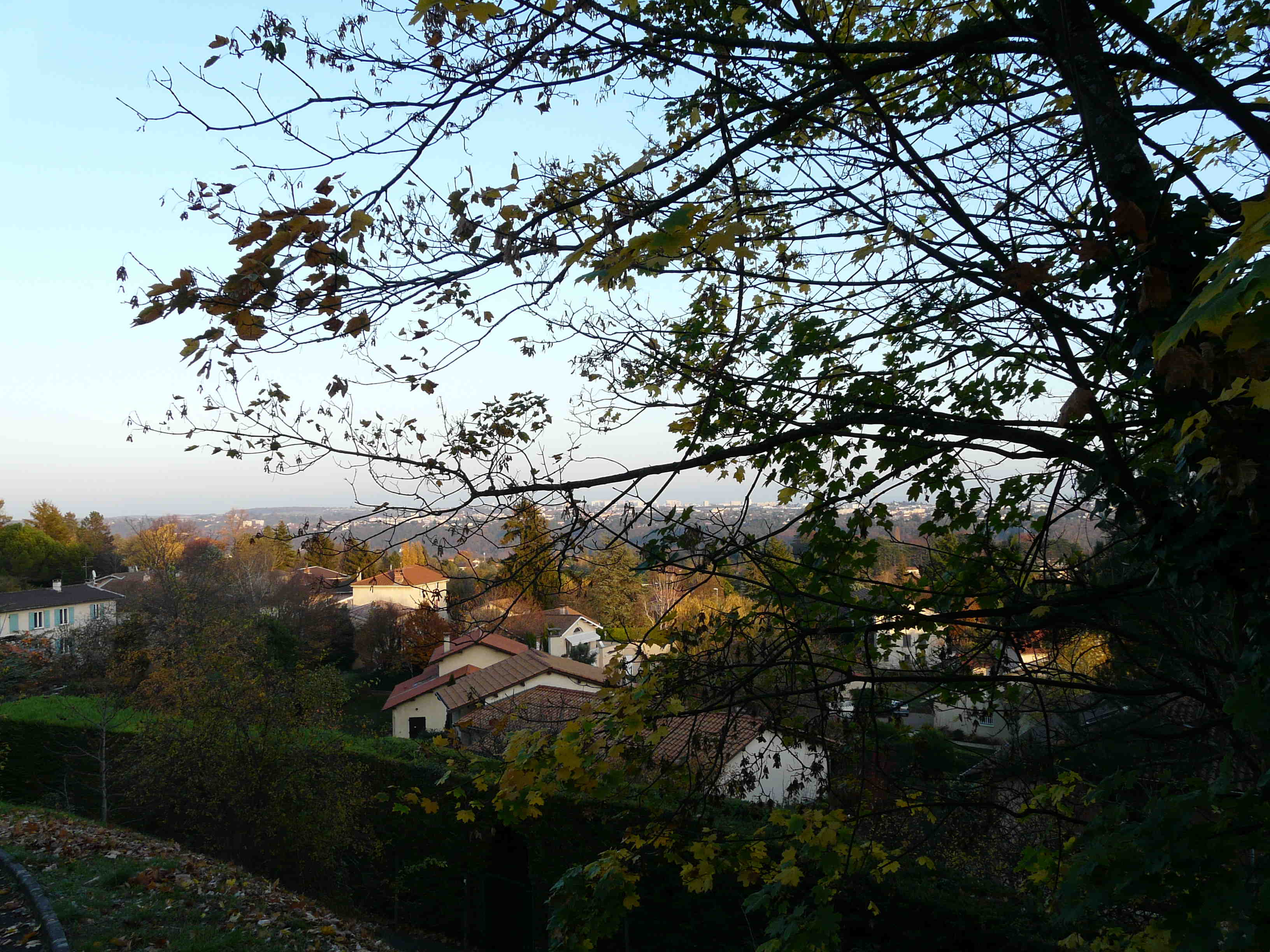 P20182332