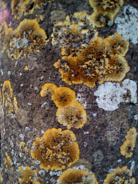 P20182361