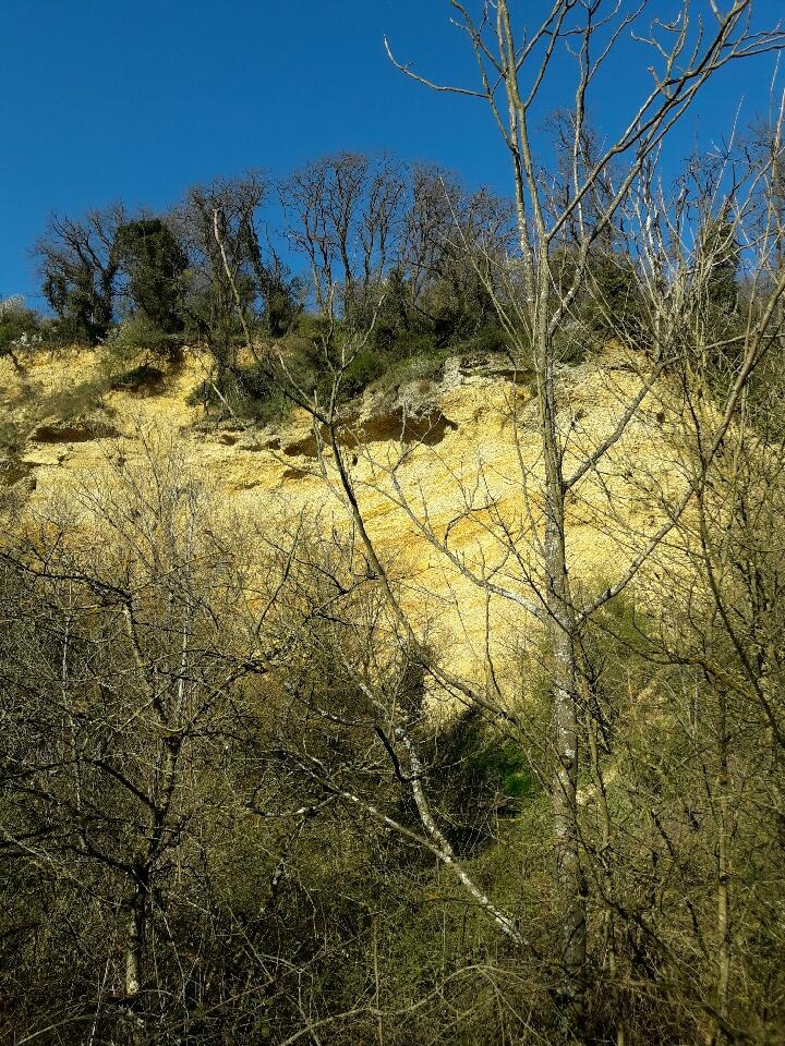P20182374