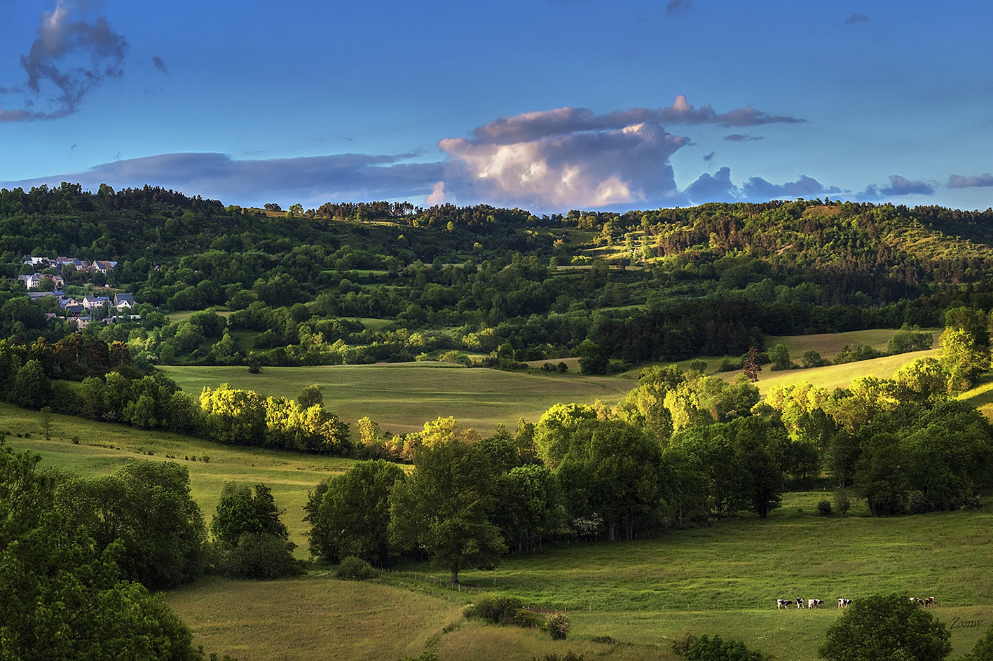 Auvergne zoomy photographe