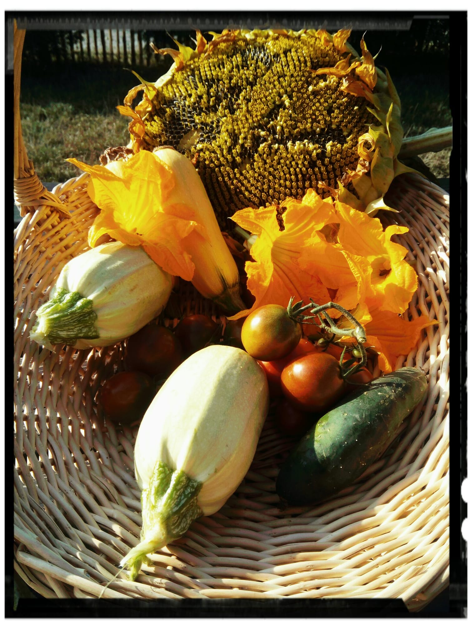 Abondance de mon jardin o