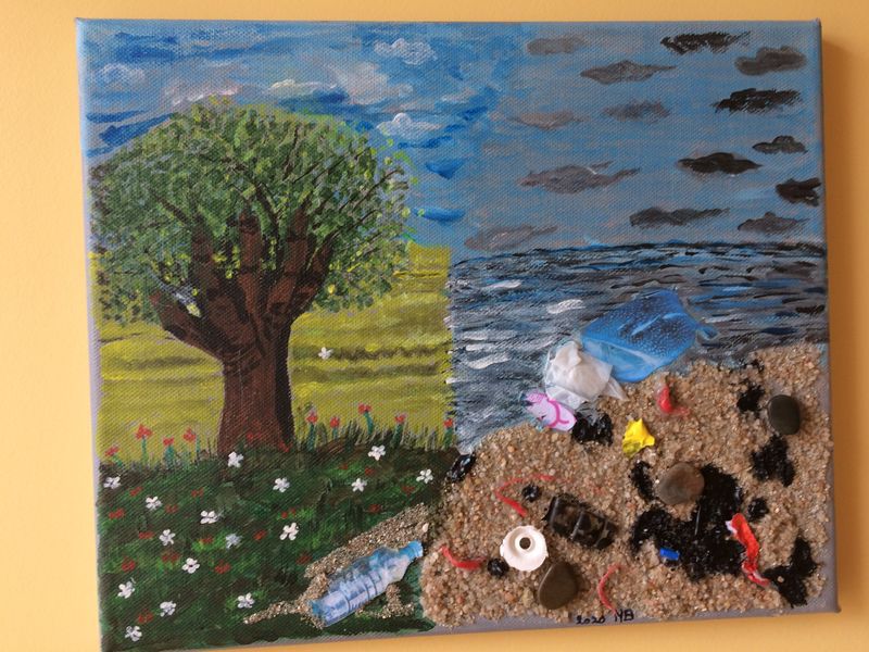 087 pollution nicole