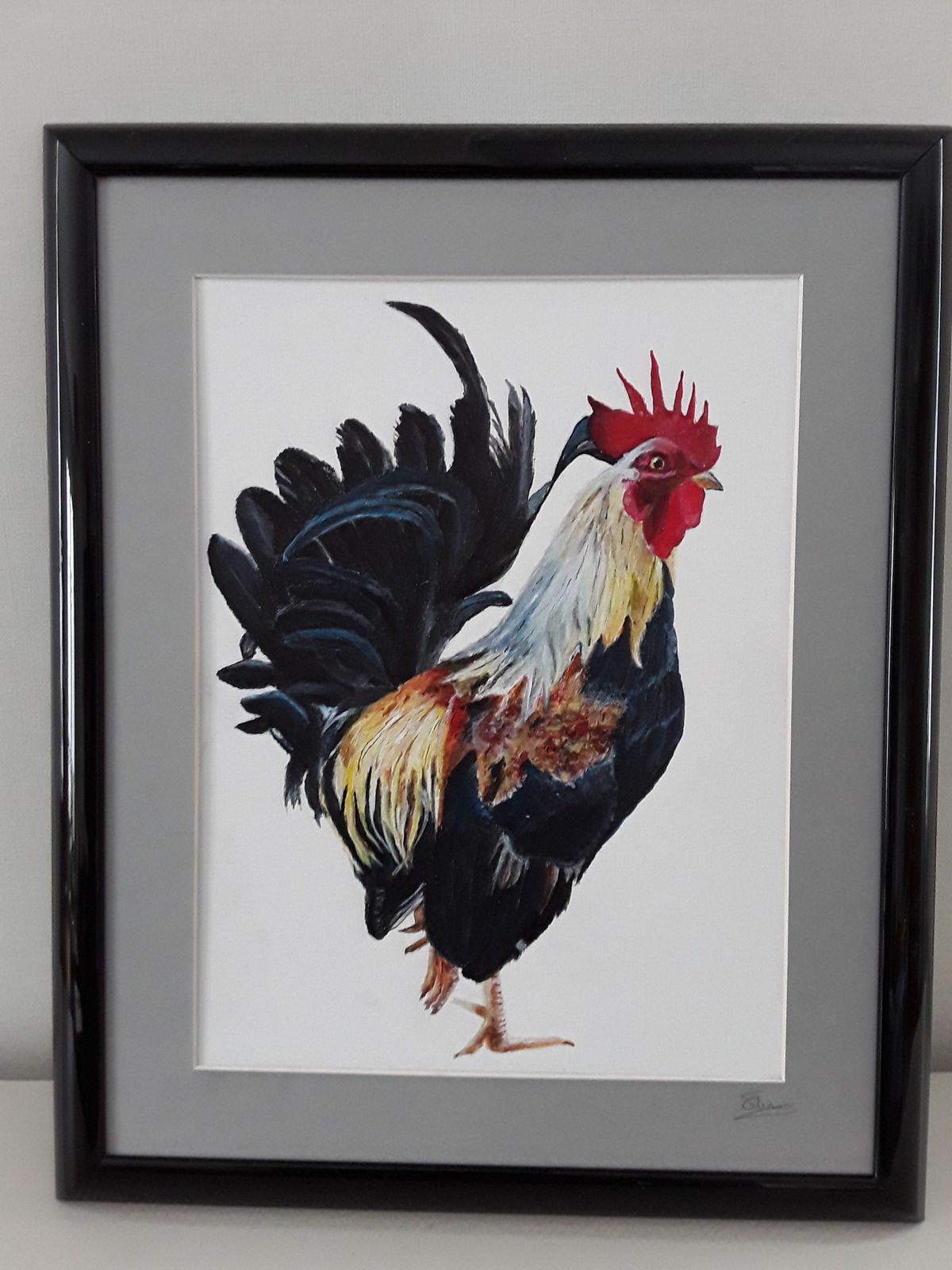 077 coq elisabeth