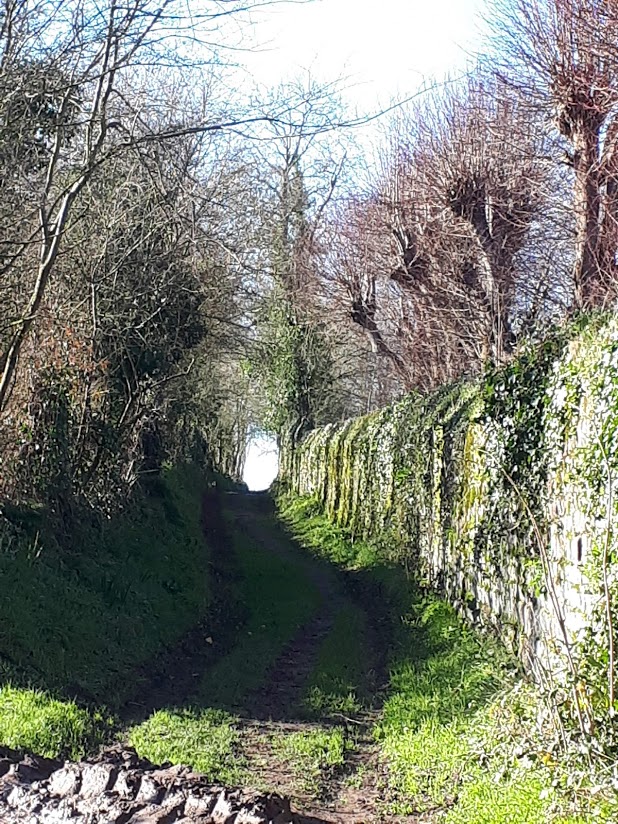 Lingreville 13