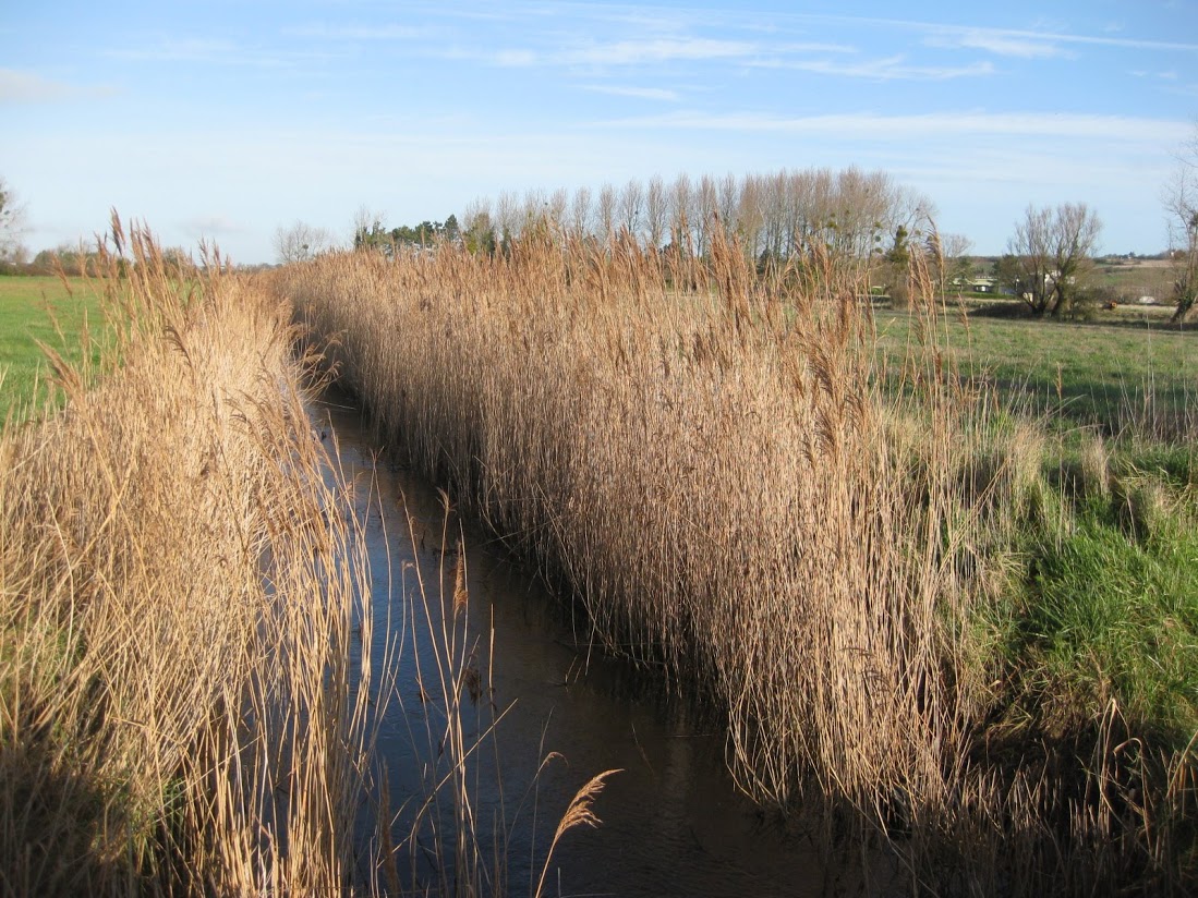 Lingreville 12