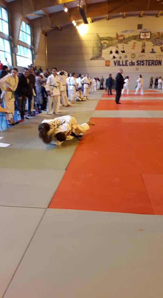 53513210 2042307525886404 8656347722837655552 n