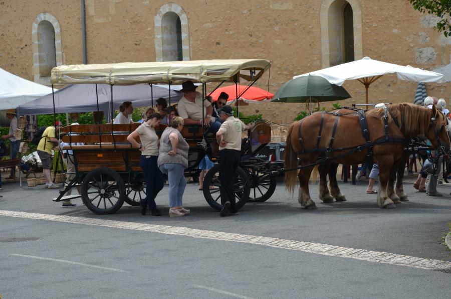 Dsc 0707 900