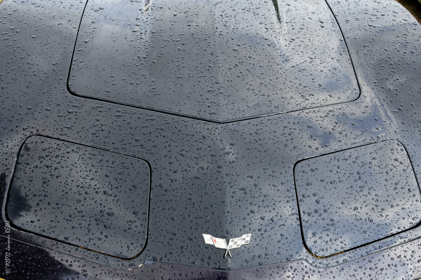 22092019 190922 1189dsc 2646 hd wjr