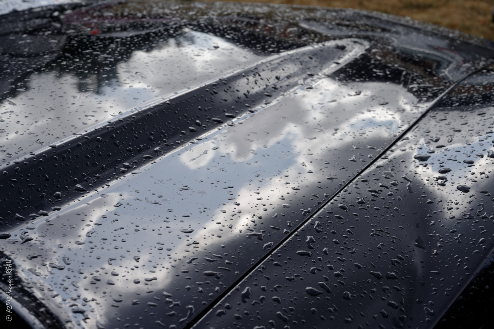 22092019 190922 1188dsc 2645 hd wjr
