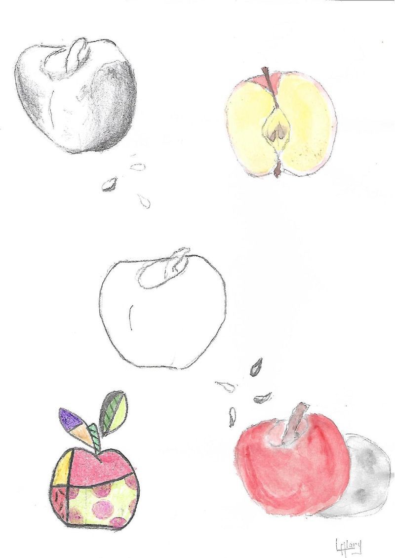 31 fruits luc