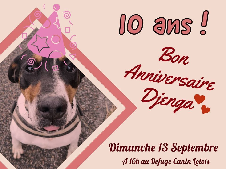 16h dimanche 13.09.2020 le RCL fête les 10 ans de Djenga