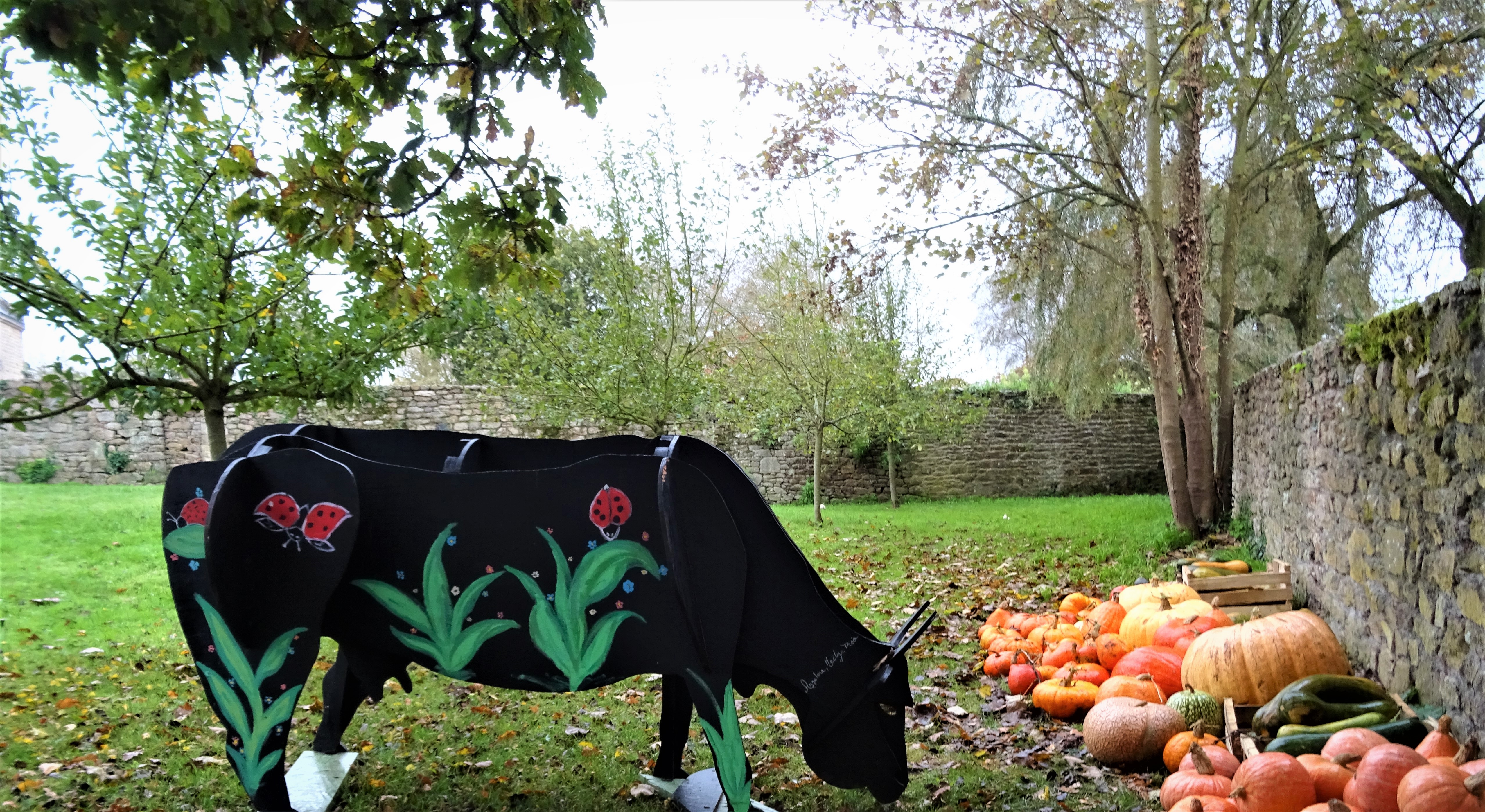 Vache dsc05192