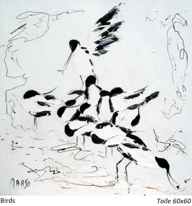 60x60 birdsred