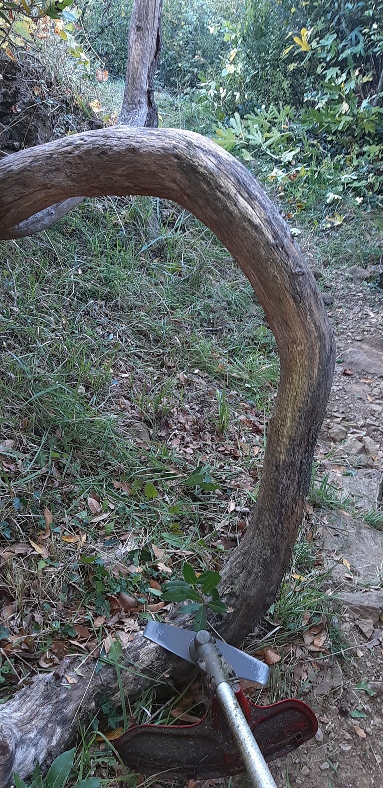 20211016 093114