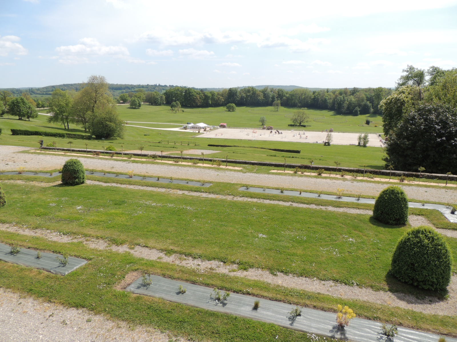 Haras du pin 019