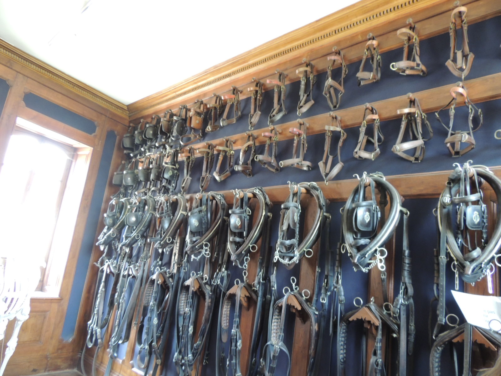 Haras du pin 022