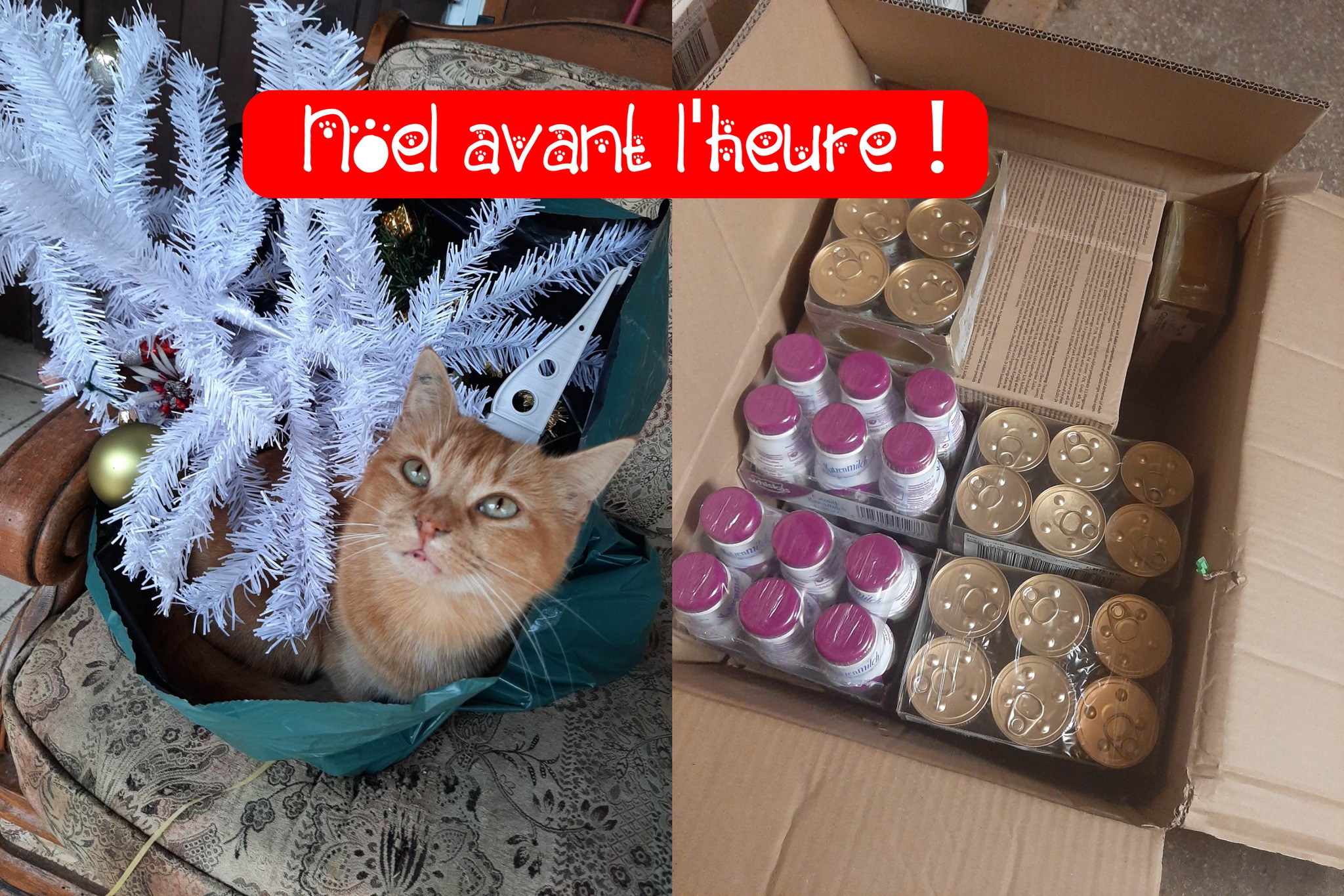 Noël avant l'heure !