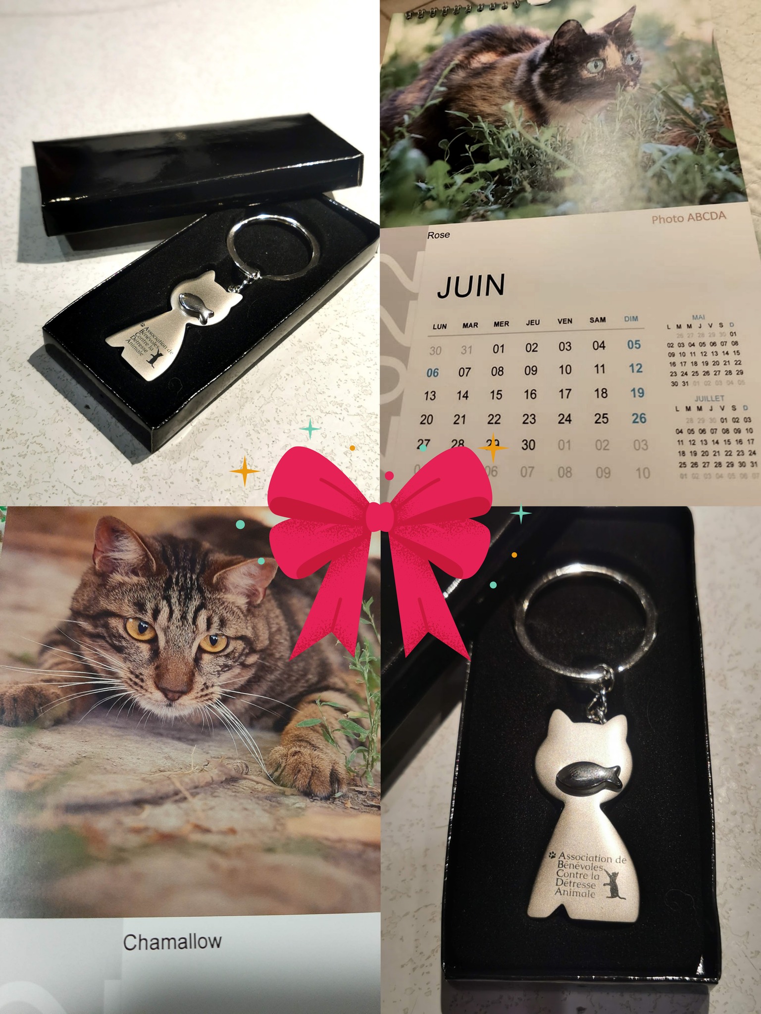 Un cadeau de dernière minute à offrir ? 🎁 