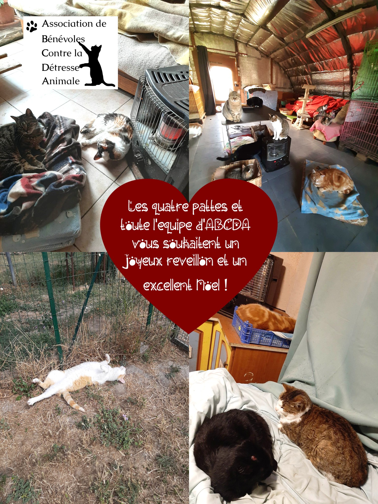 Bon réveillon et joyeux noël à tous !