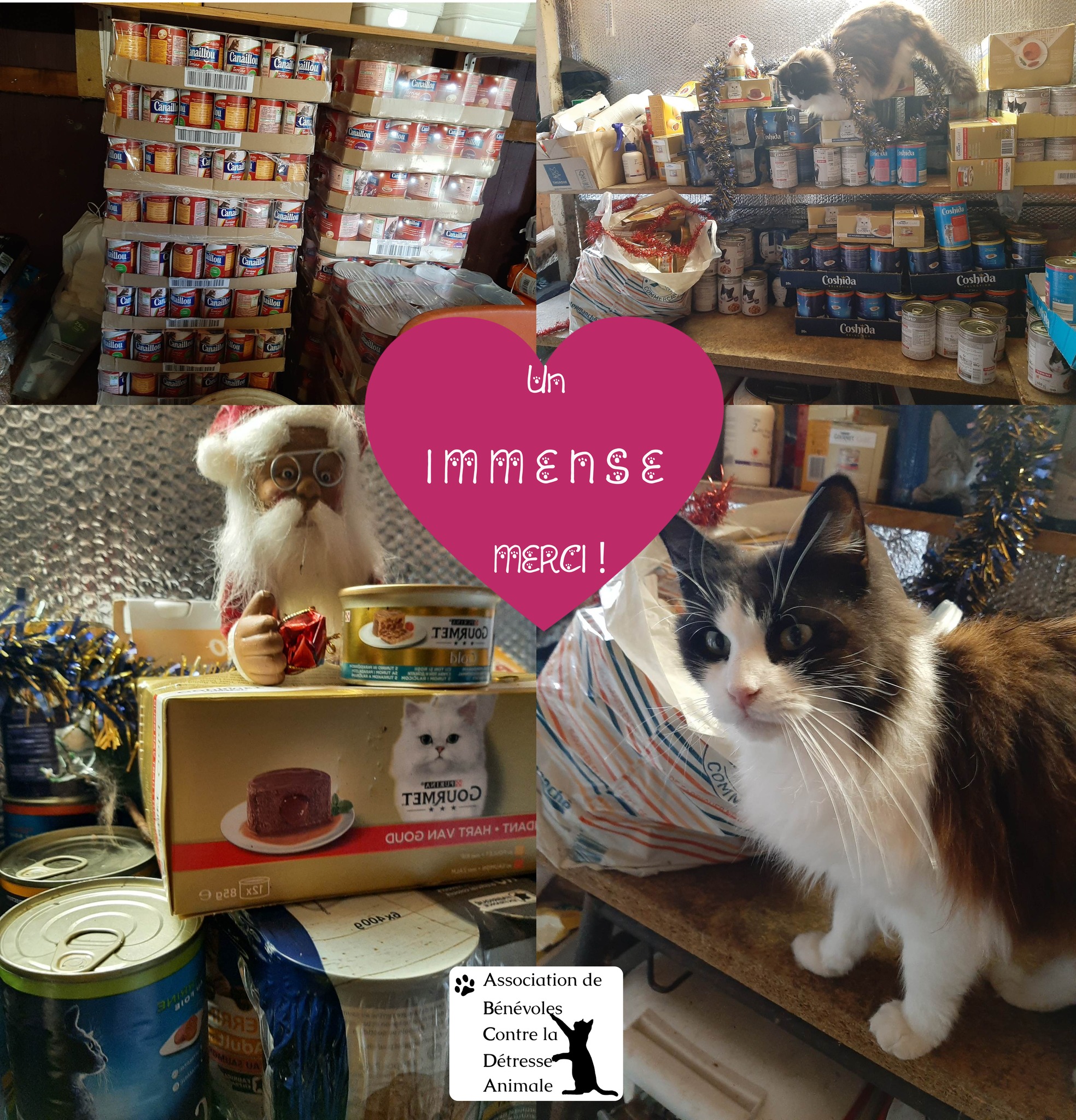 💝 ℂ𝕙𝕣𝕚𝕤𝕥𝕞𝕒𝕤 ℂ𝕙𝕒𝕝𝕝𝕖𝕟𝕘𝕖 ℕ𝕖𝕨𝕤 😽
