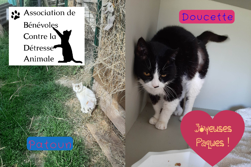 Joyeuses Pâques à tous !