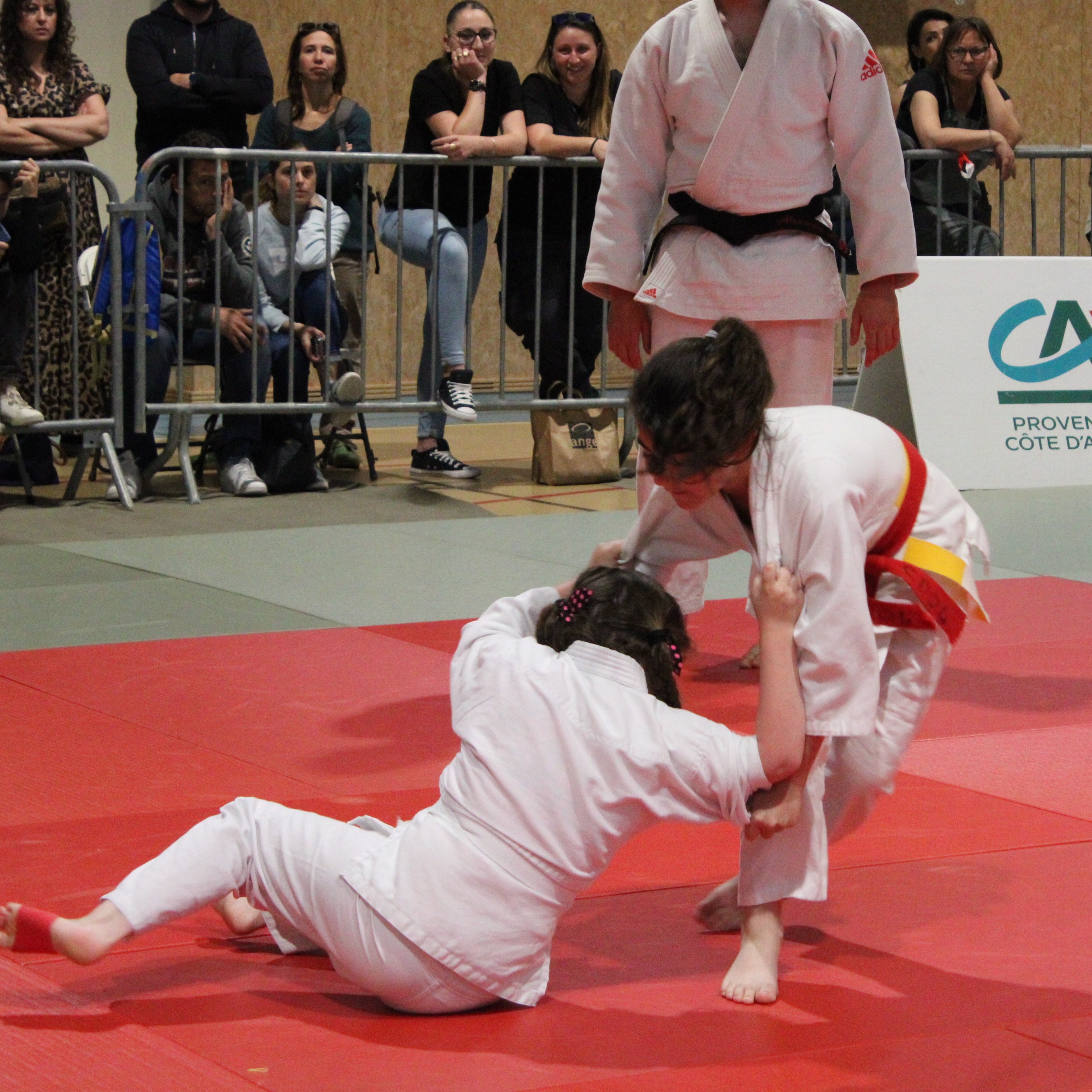 20220507161219 img 5986