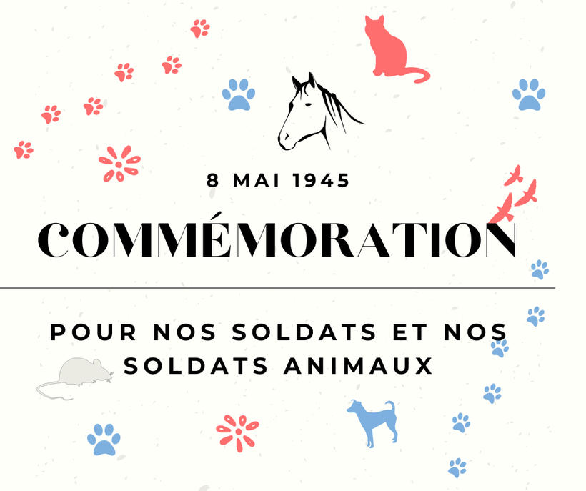 Commémoration du 8 mai pour nos animaux