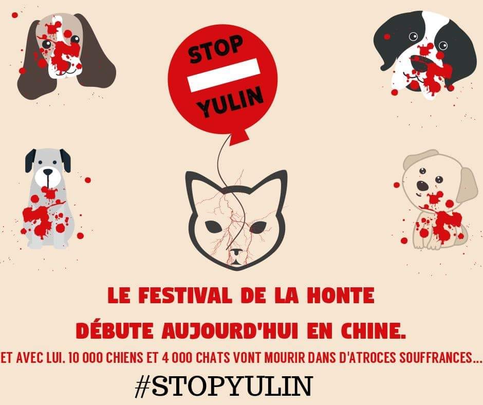 Pétition STOP FESTIVAL DE YULIN