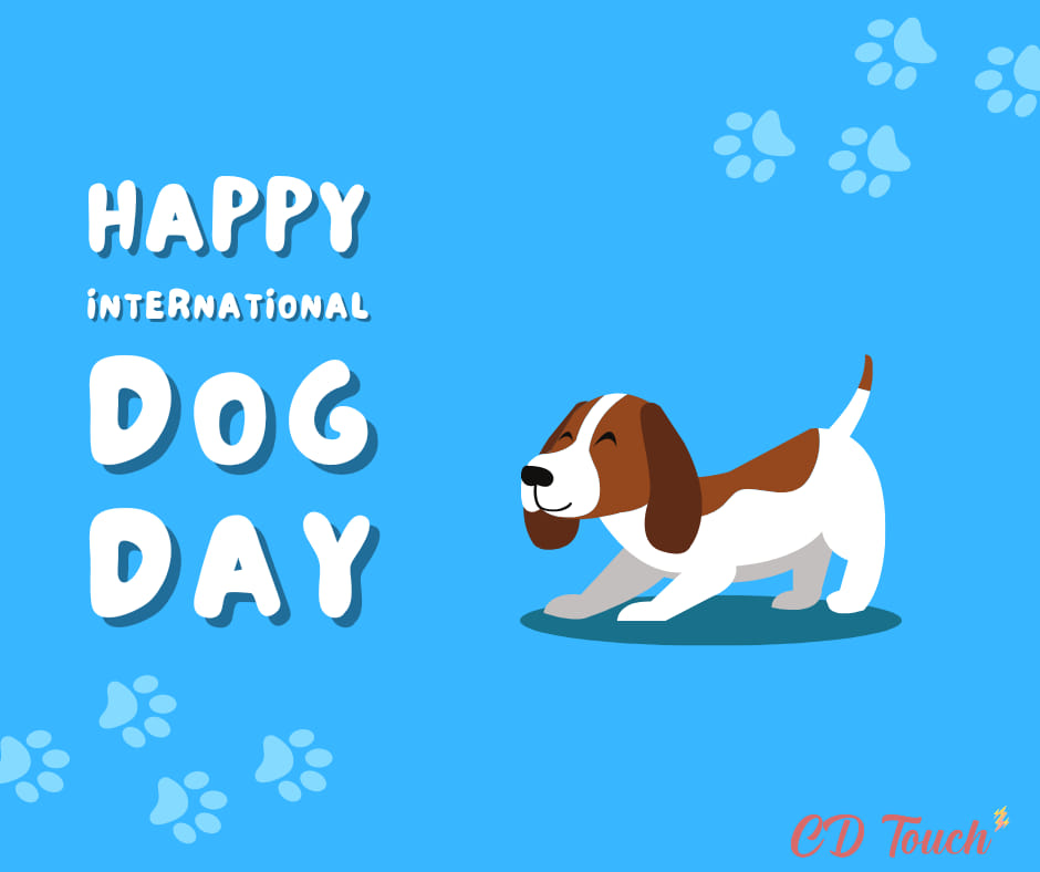 Happy International Dog Day ! 🐶