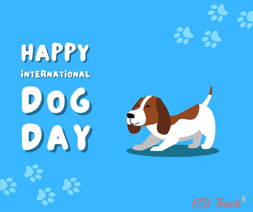 Happy International Dog Day ! 🐶