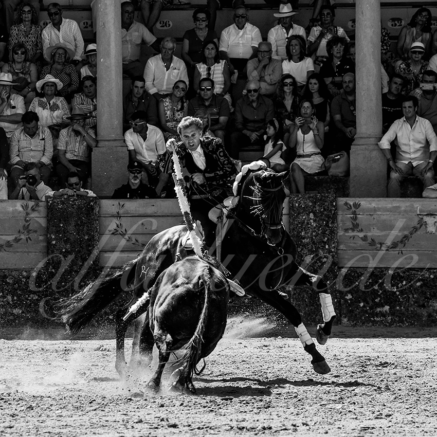 20220903 ronda rejoneo 003 copie