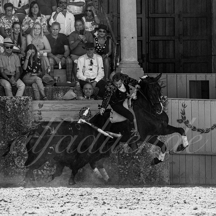 20220903 ronda rejoneo 004 copie