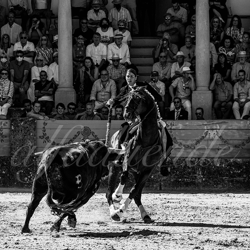 20220903 ronda rejoneo 006 copie