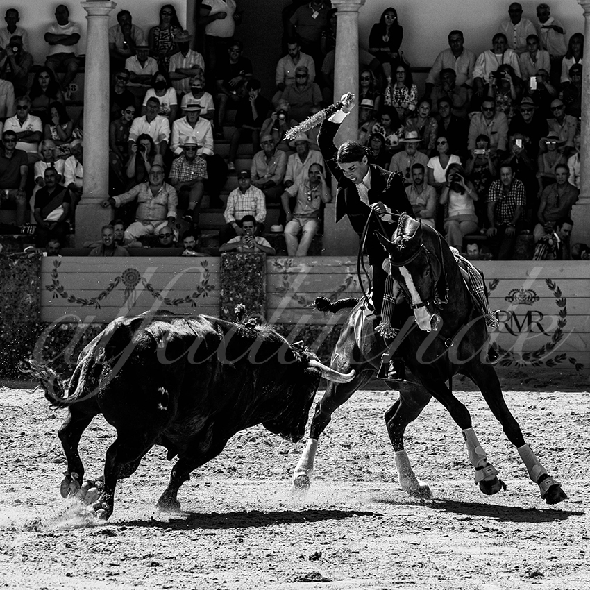 20220903 ronda rejoneo 009 copie