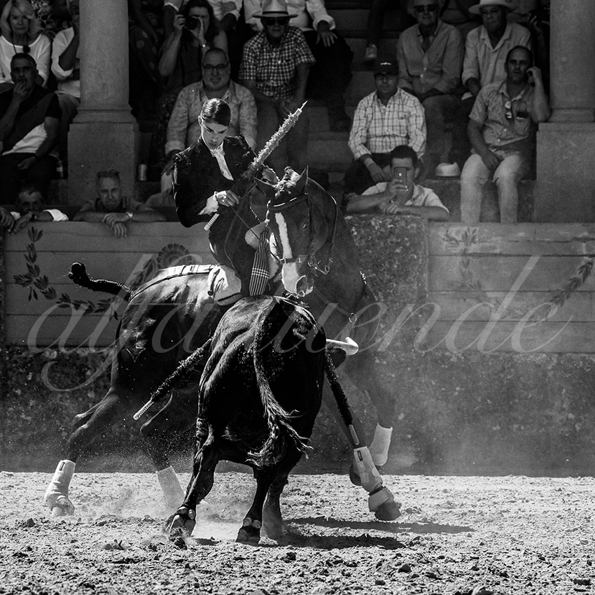 20220903 ronda rejoneo 011 copie